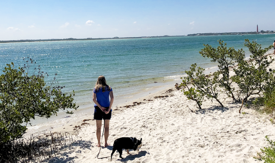 Are Dogs Allowed On Volusia County Beaches